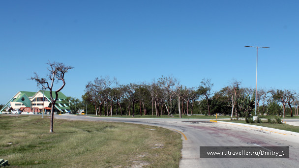 photo 1745118