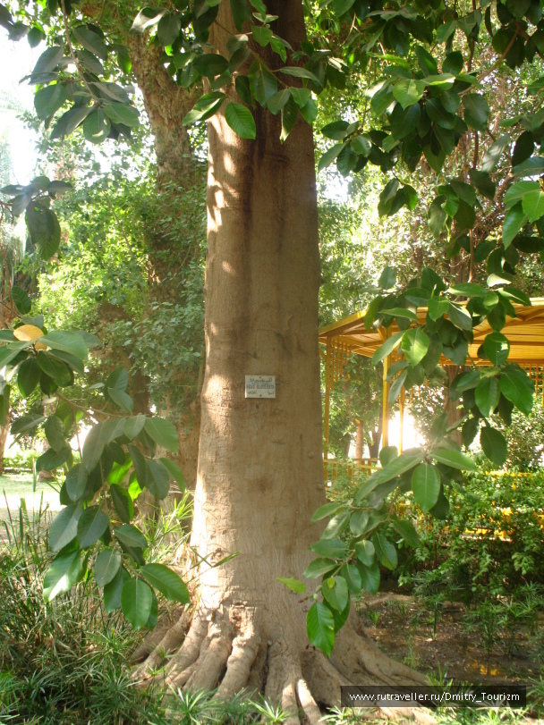 photo 1090305