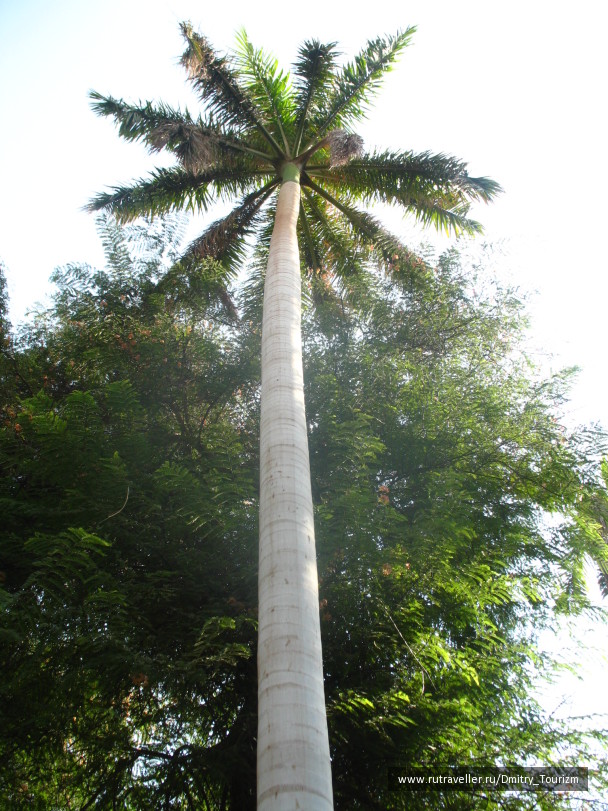 photo 1090308