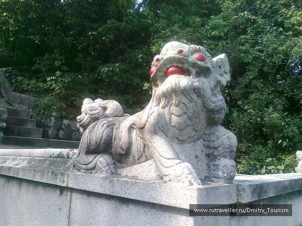 photo 1095282