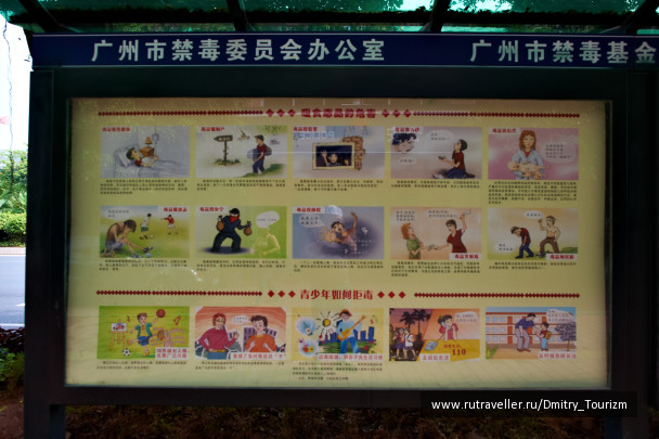 photo 1095327