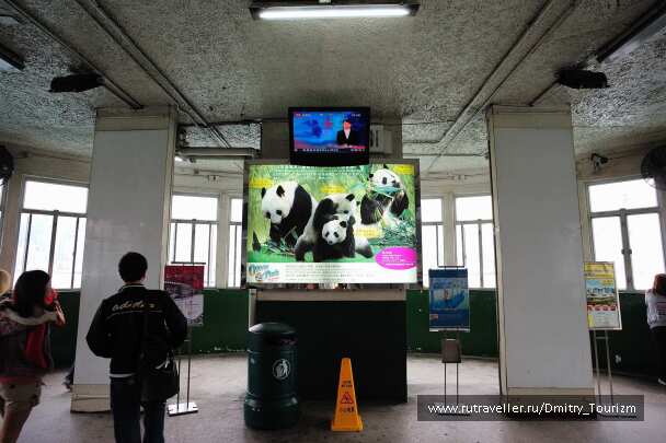 photo 1105586