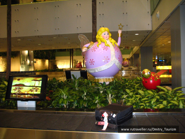 photo 1247897