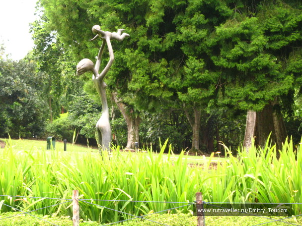 photo 1283420