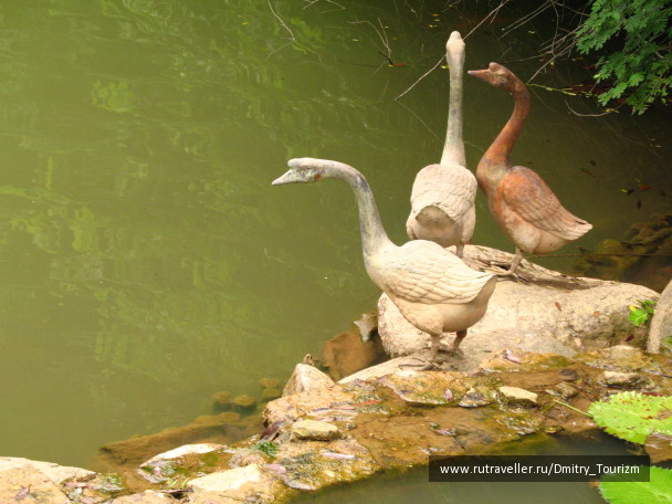 photo 1283421