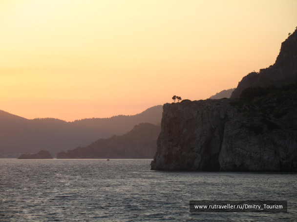 photo 1297155
