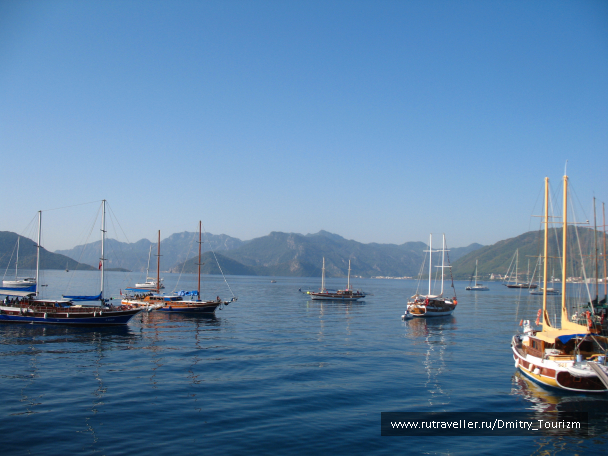 photo 1297178