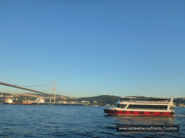 photo 1297203