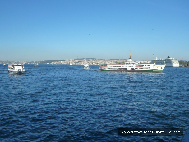 photo 1297208