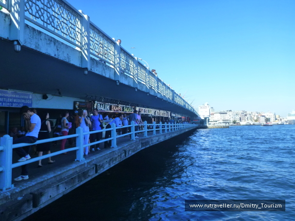 photo 1297209