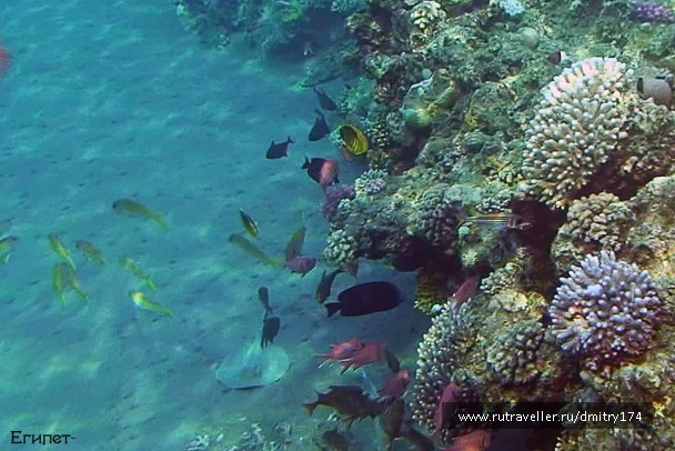 photo 136340