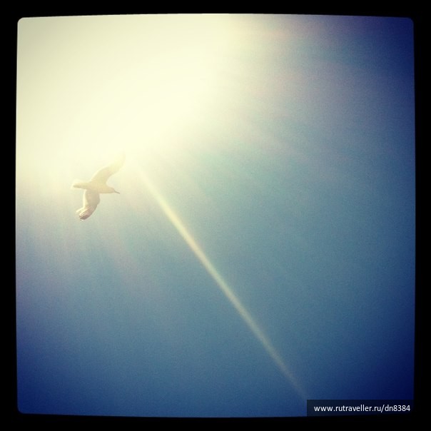 photo 454254