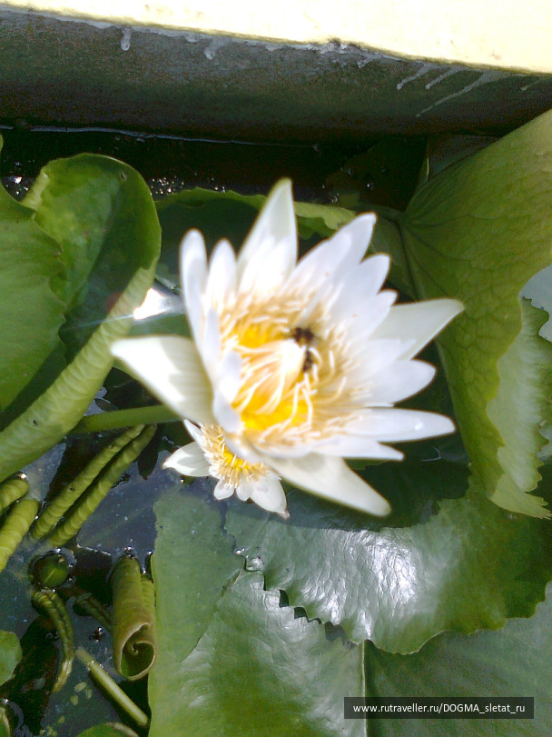 photo 76632