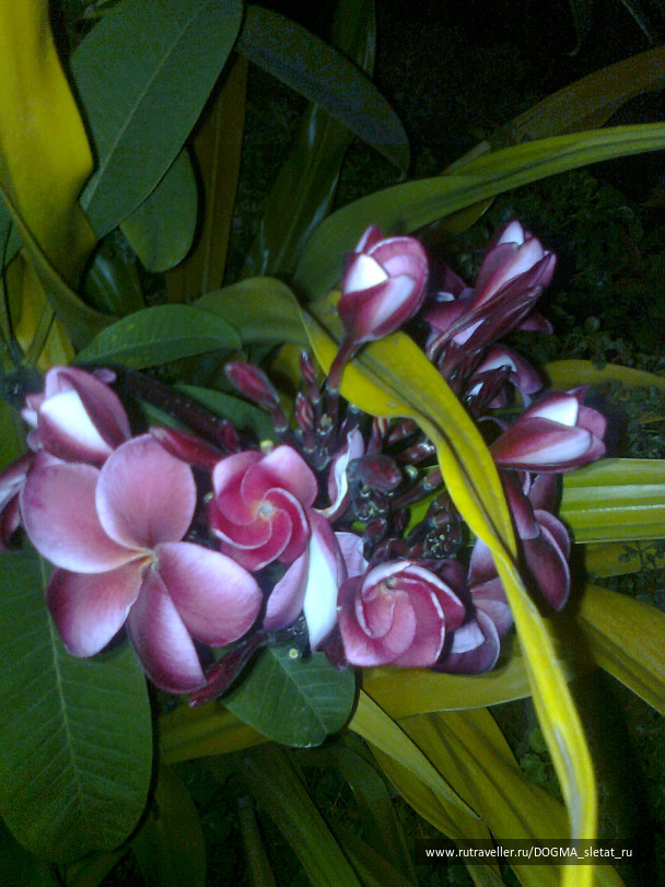 photo 76636