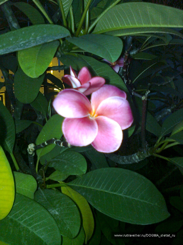 photo 76637