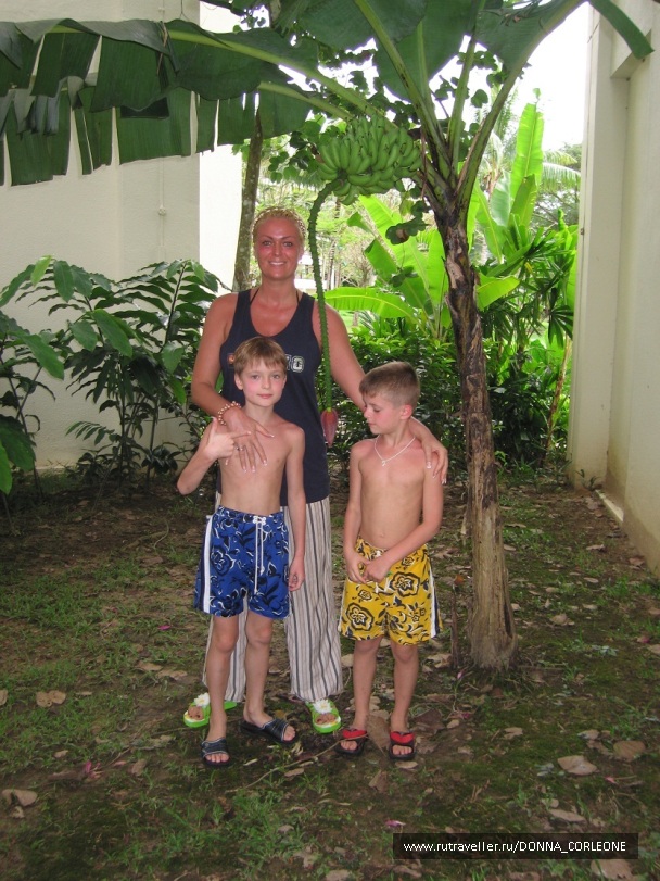 photo 267513