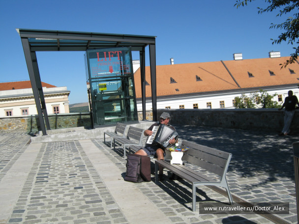photo 37425