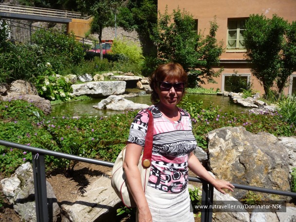 photo 17384