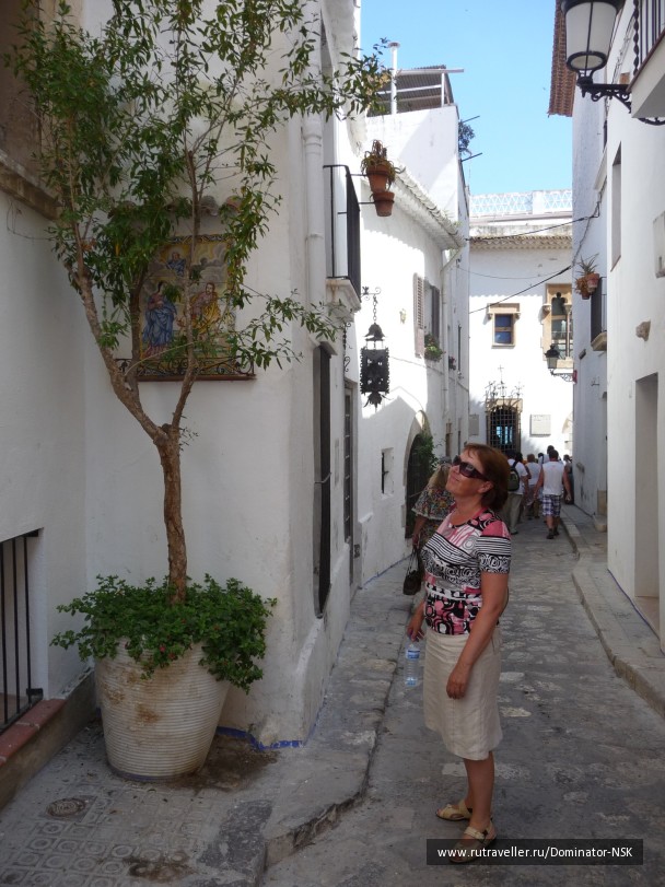 photo 17781