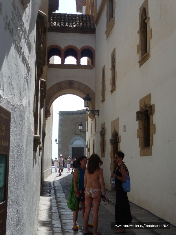 photo 17782