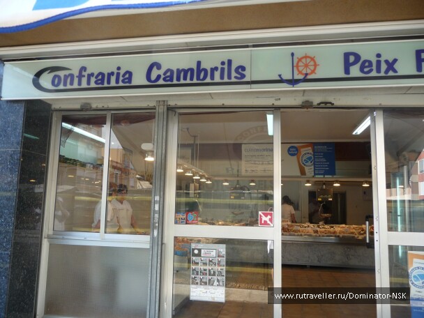 photo 17819