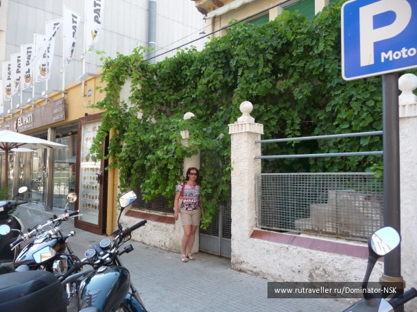photo 17821