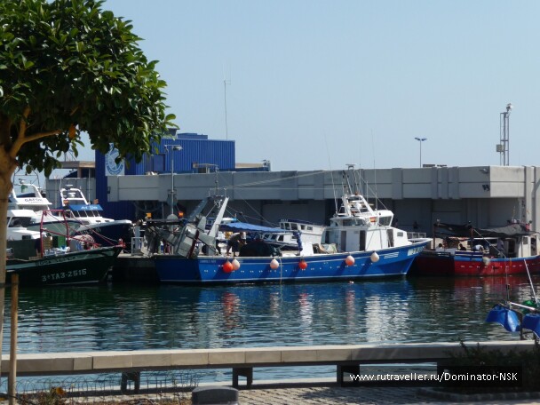 photo 17839
