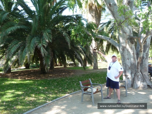 photo 17847
