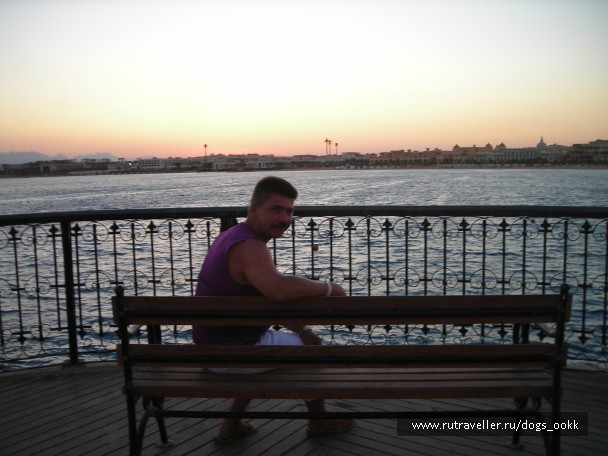 photo 823352