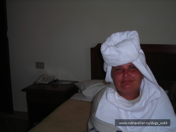 photo 786431