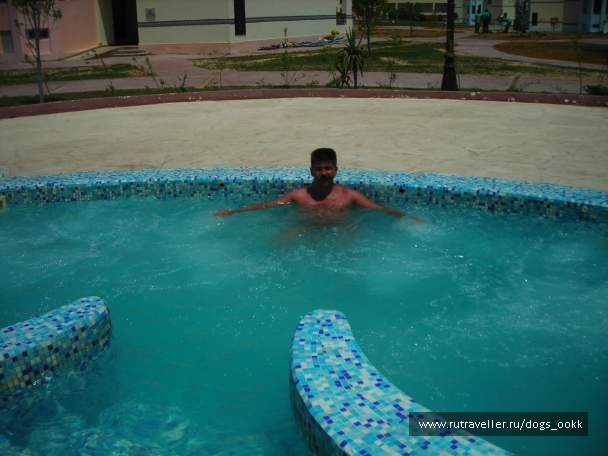 photo 786433