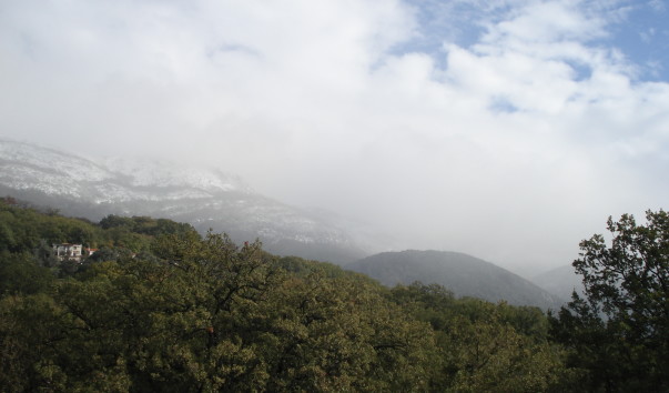 DSC00392