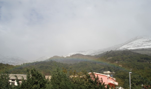 DSC00376