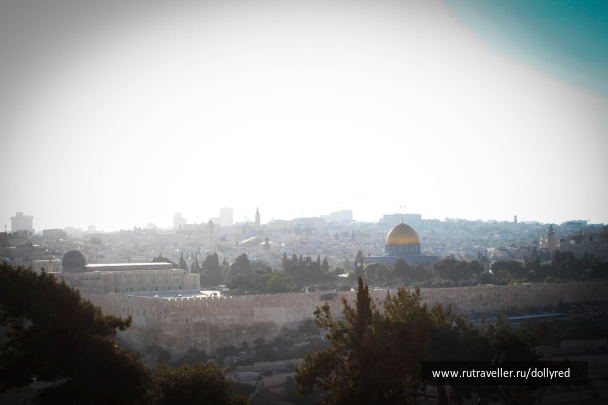 photo 1469352