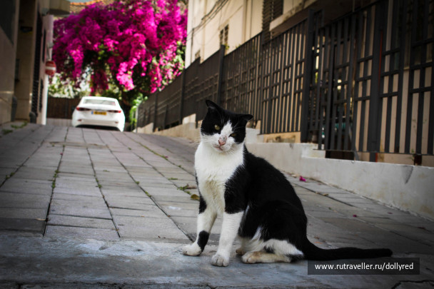 photo 1469372