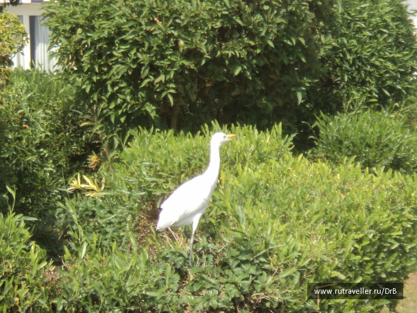 photo 48068