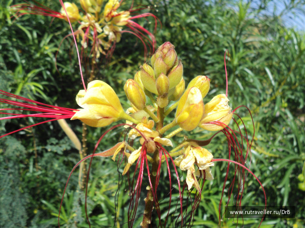 photo 48078