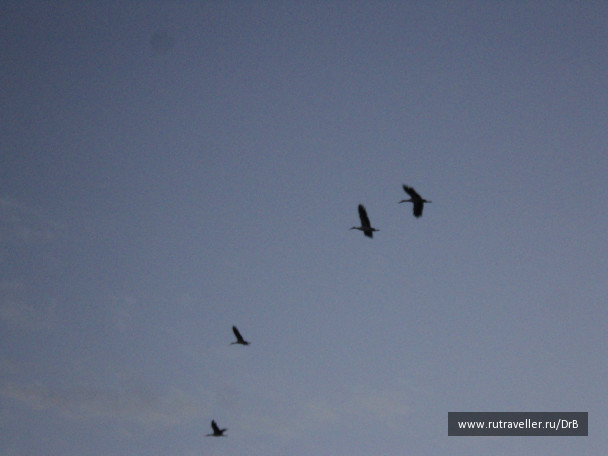 photo 61491
