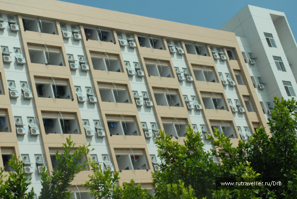 photo 64385
