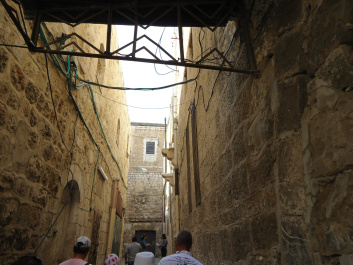 photo 186818
