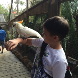 photo 1054558