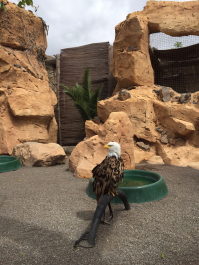 photo 1054559