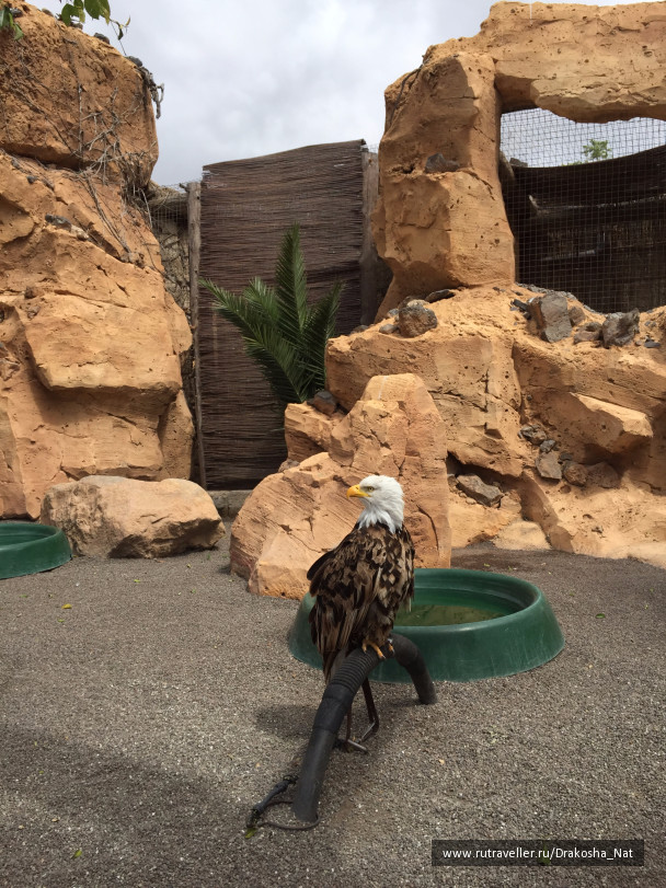 photo 1054559