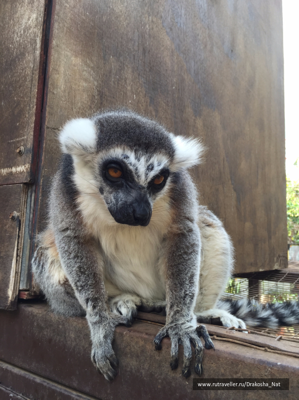 photo 1054560
