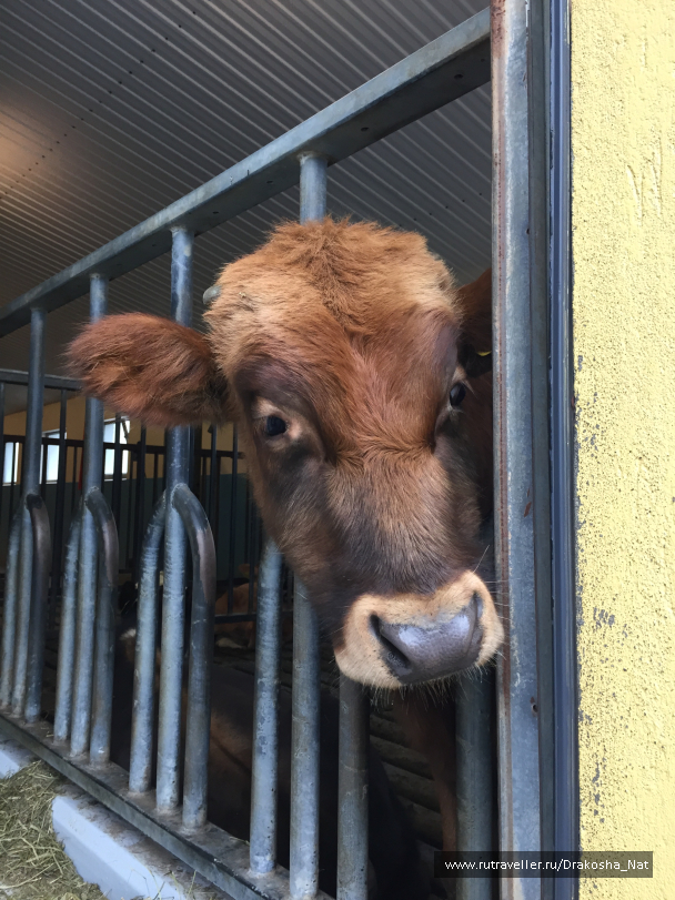 photo 1270444