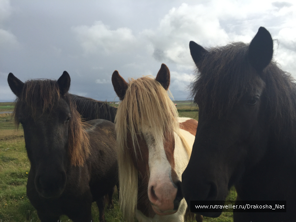photo 1270465