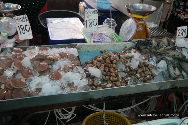 photo 1401702