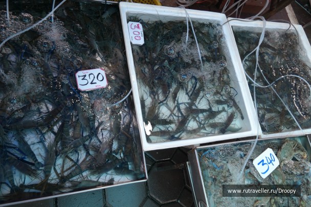 photo 1401703