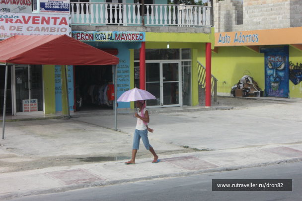 photo 261977
