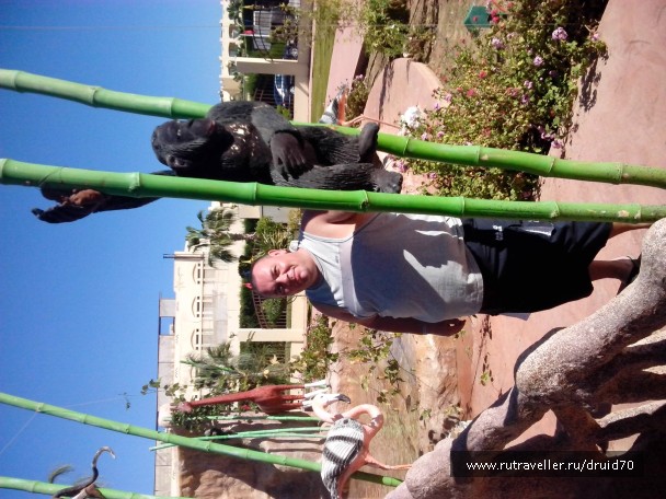 photo 684971